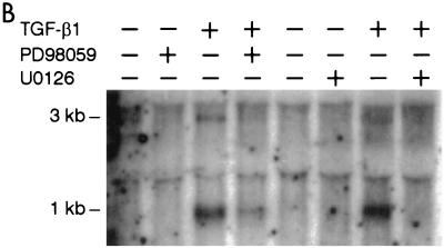 FIG. 9