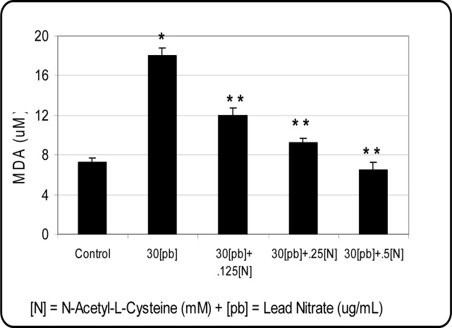 Figure 4: