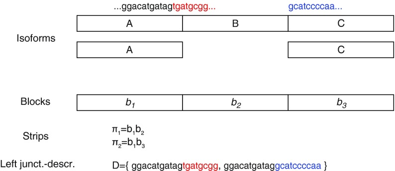 FIG. 6.