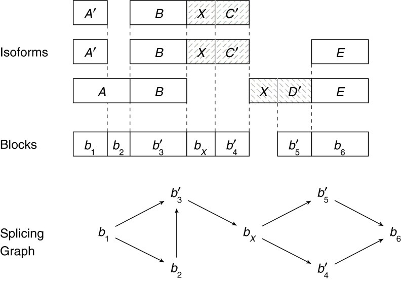 FIG. 5.