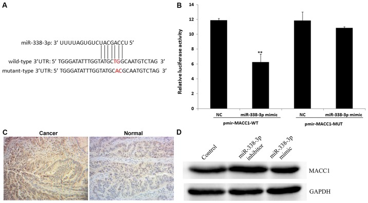 Figure 6.