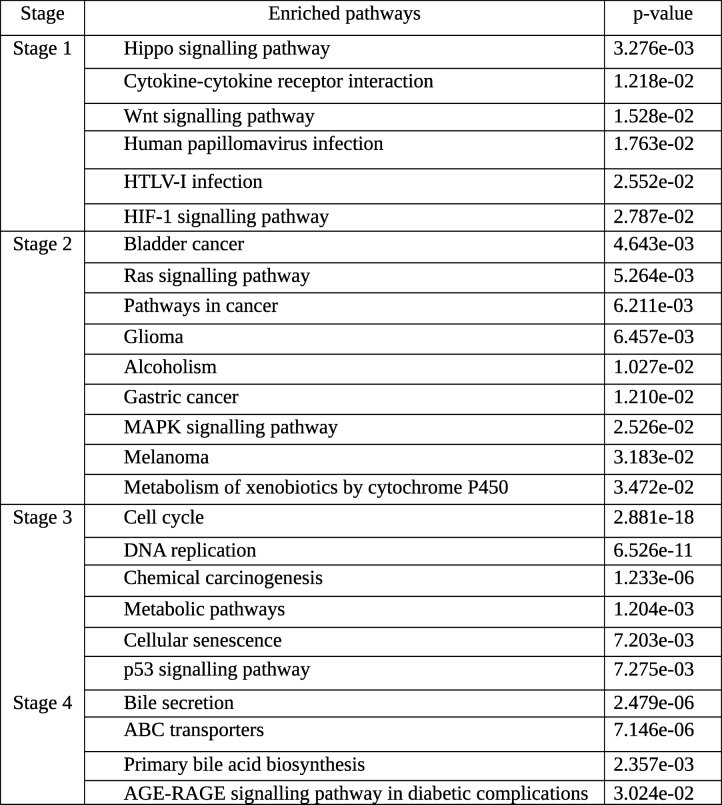 graphic file with name 12885_2019_5838_Tab9_HTML.jpg