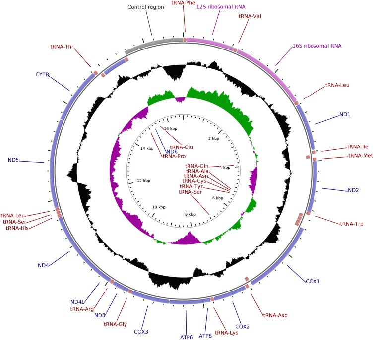 Fig. 2.