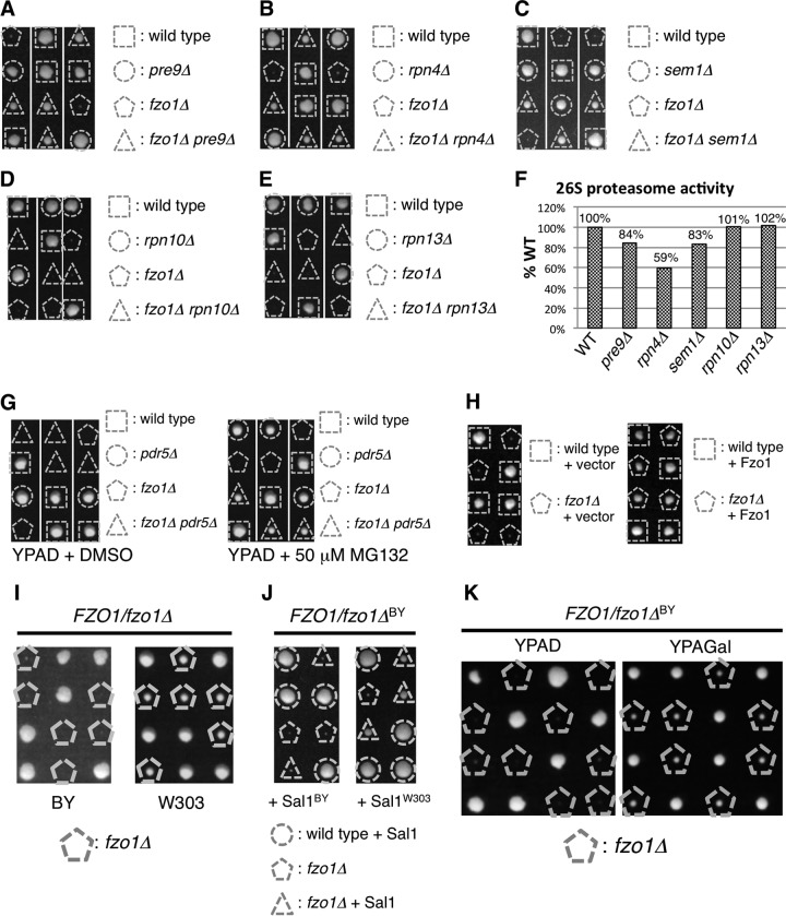 FIG 1