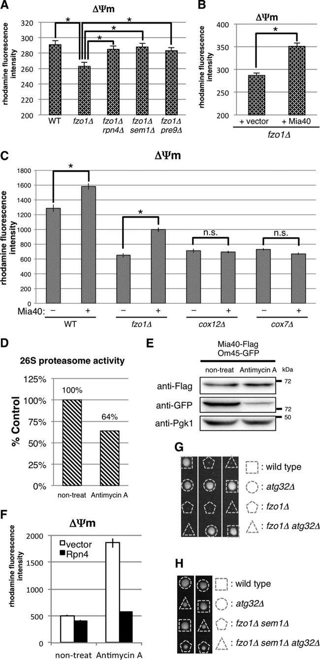 FIG 6.