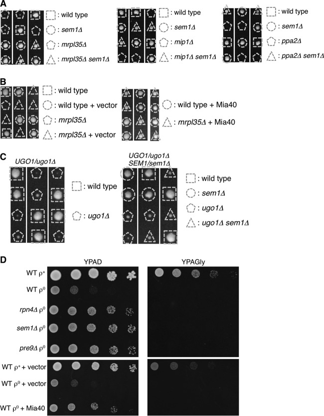 FIG 4