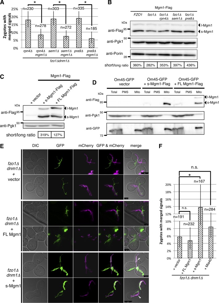 FIG 8