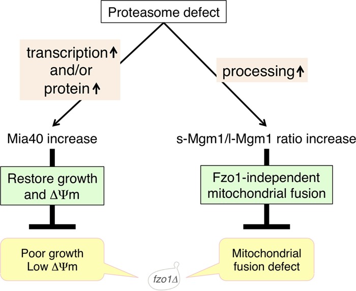 FIG 10