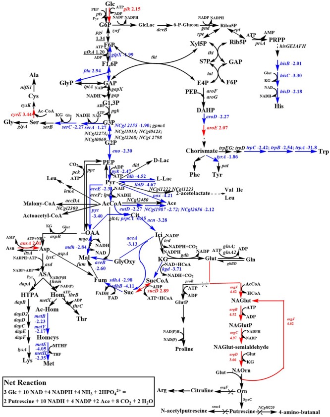 FIGURE 3