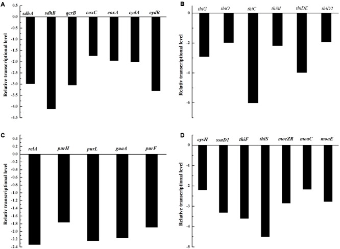 FIGURE 4