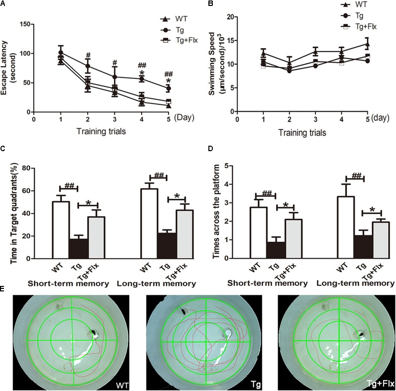 FIGURE 1