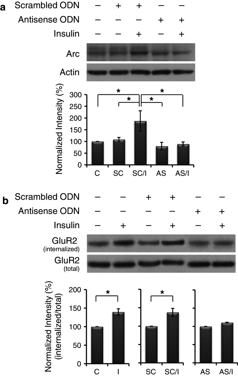 Fig. 6