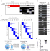 Extended Data Figure 7