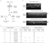 Extended Data Figure 2