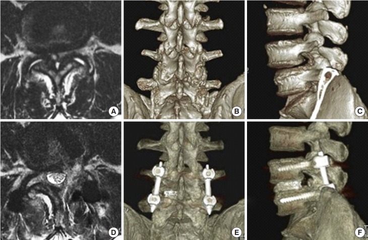 Fig. 9.