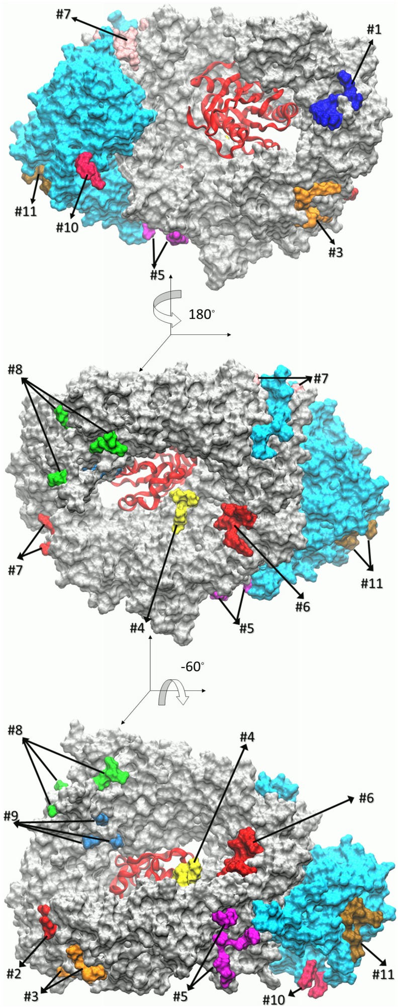 Figure 2