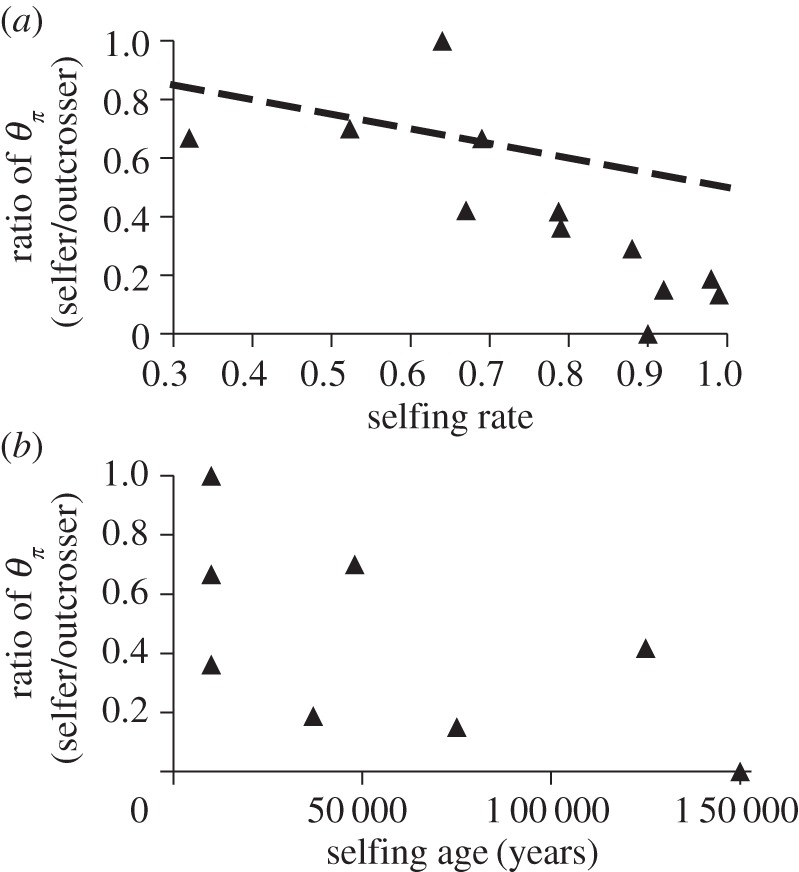 Figure 3.