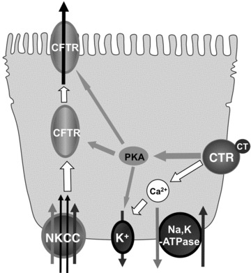 Fig 7