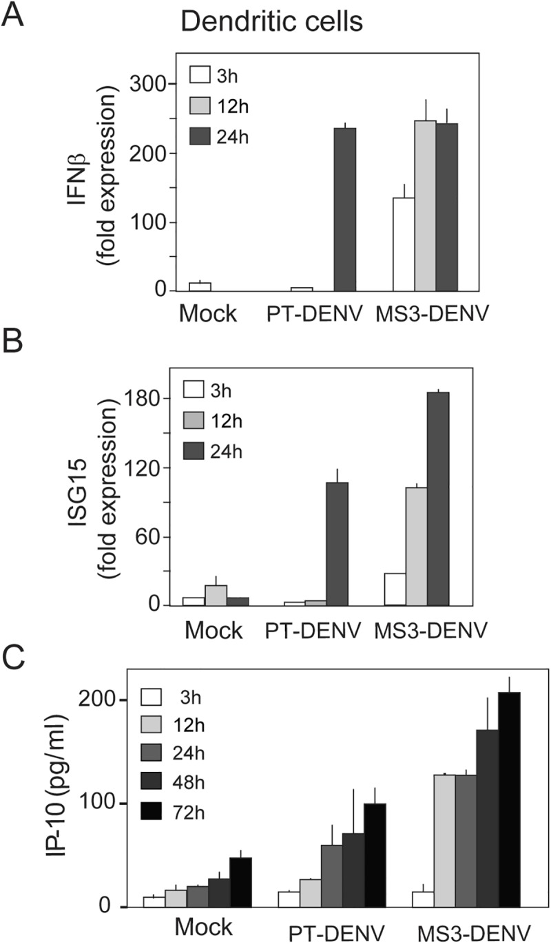 Fig 6