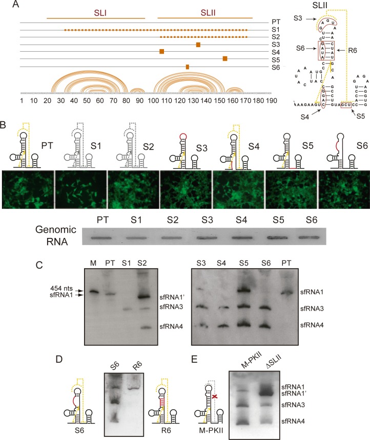 Fig 4