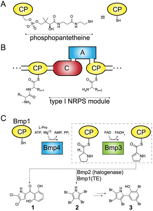 Figure 1.