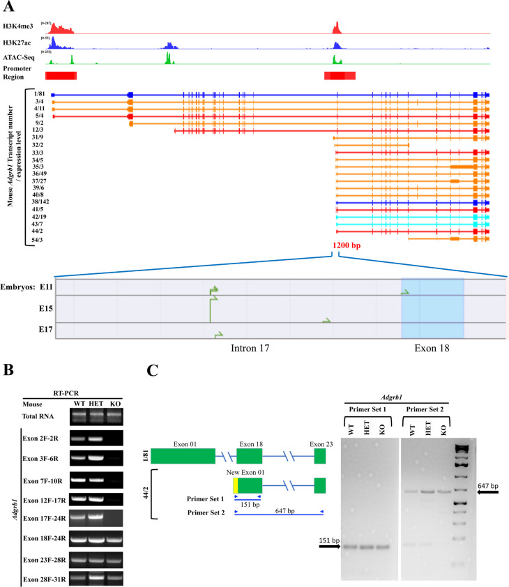 Fig. 4