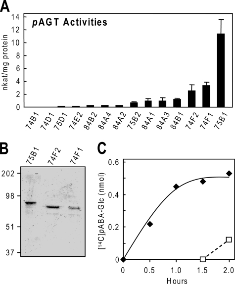 FIGURE 3.