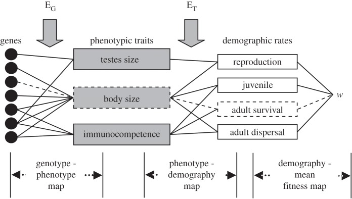 Figure 4.