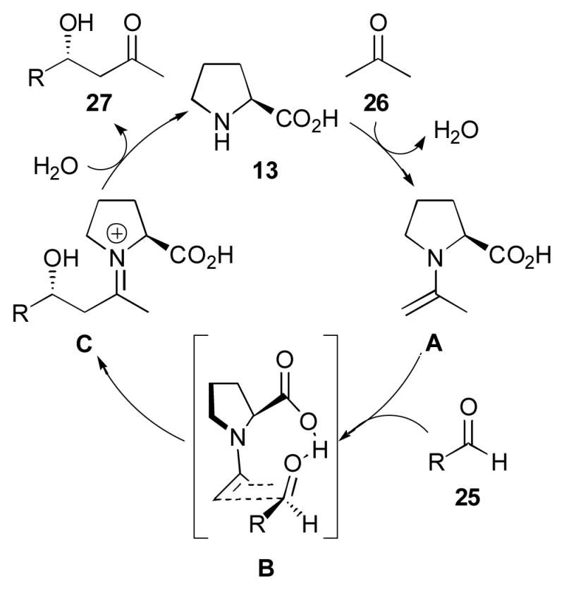 Scheme 5