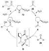 Scheme 5