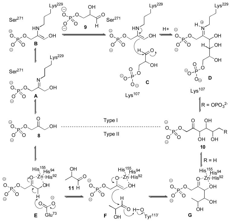 Scheme 2