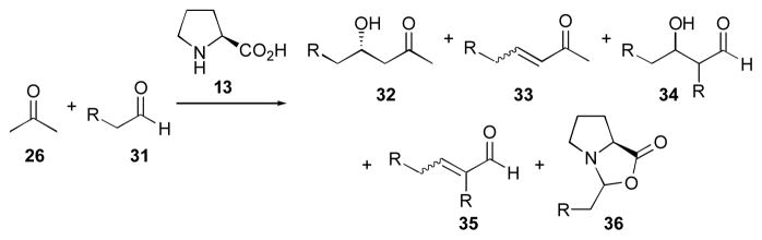 Scheme 6