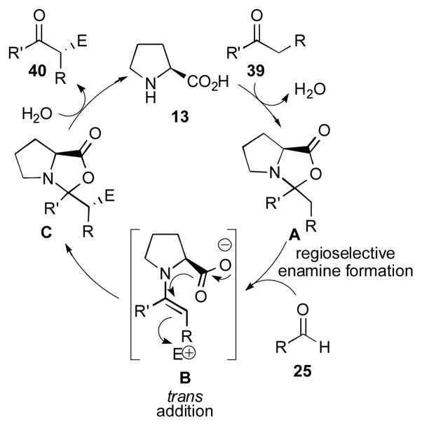 Scheme 8