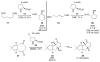 Scheme 4