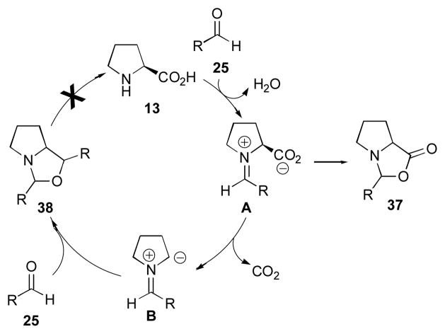 Scheme 7