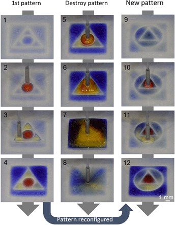 Fig. 2