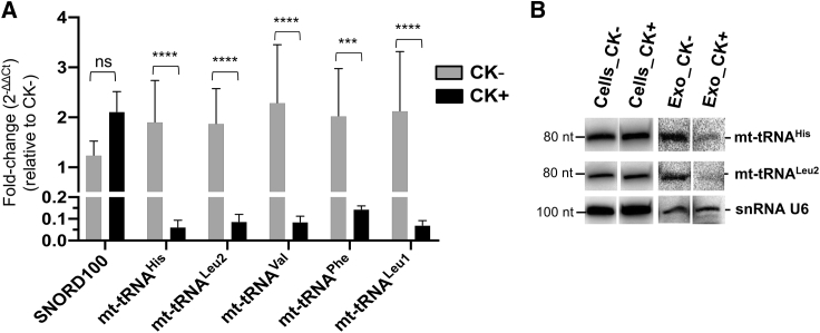 Figure 6