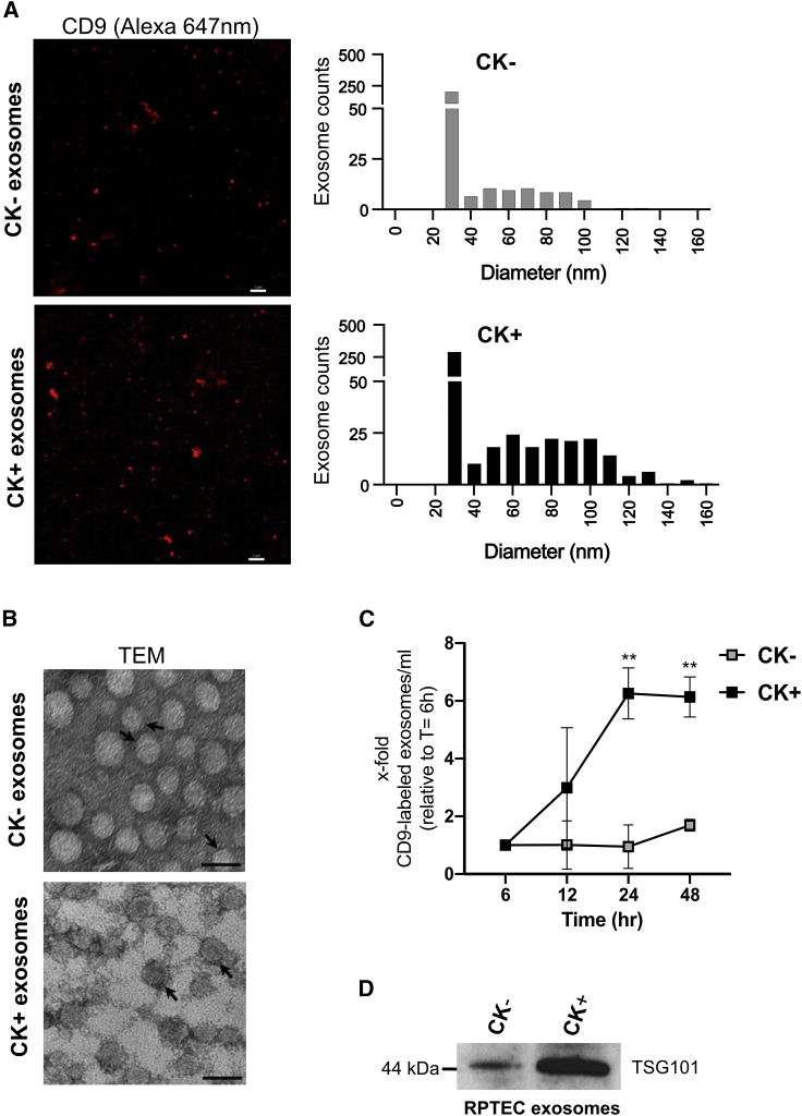 Figure 2