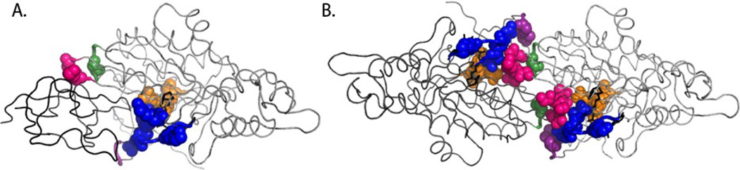 Fig. 6