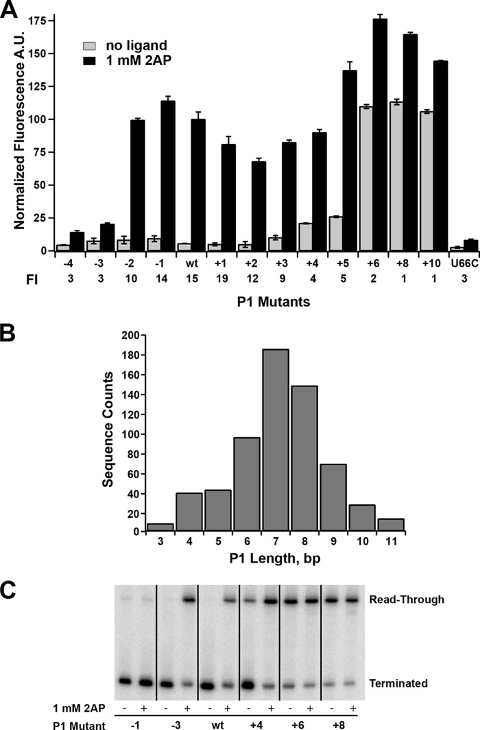 FIGURE 4.