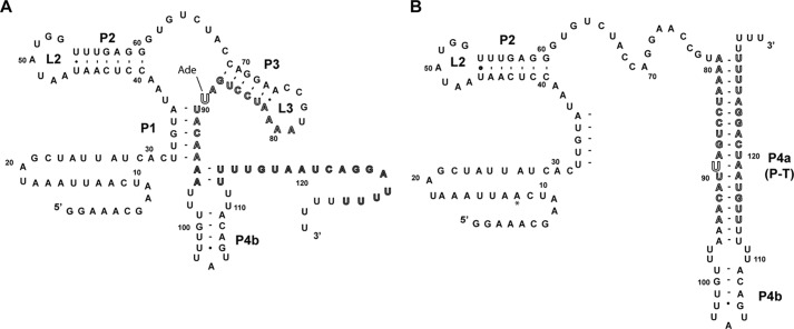 FIGURE 1.