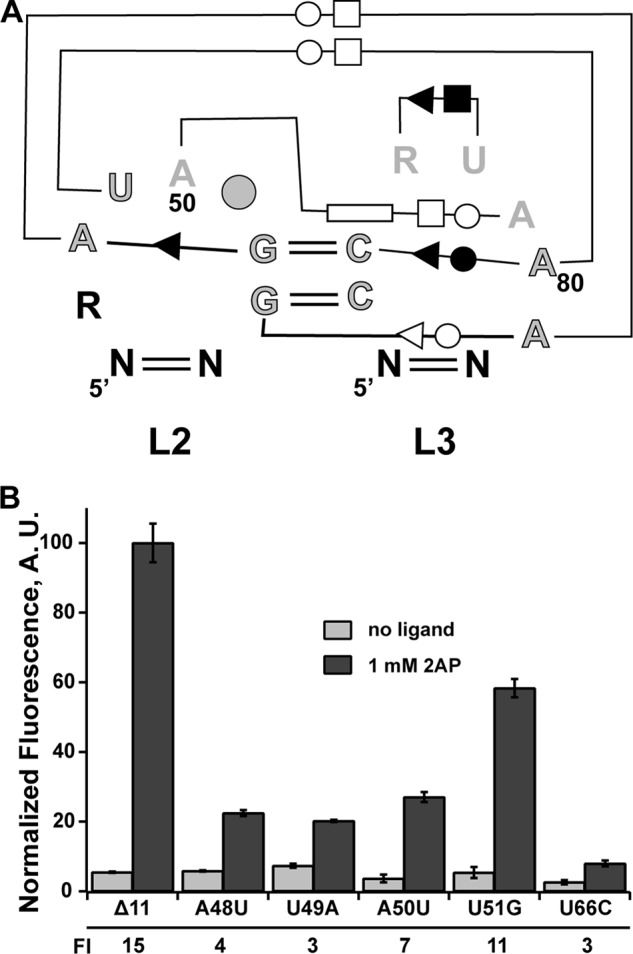 FIGURE 3.