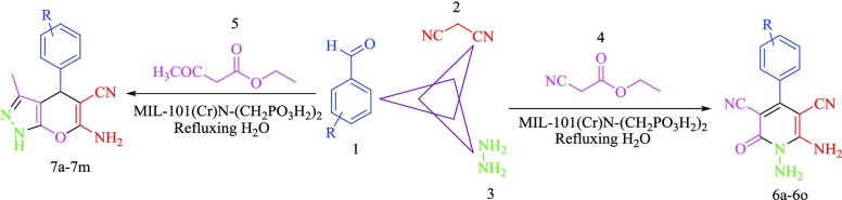 Scheme 2