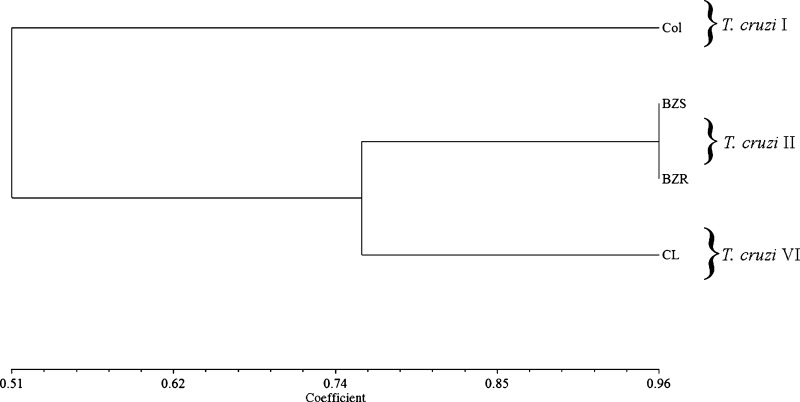 Figure 7.