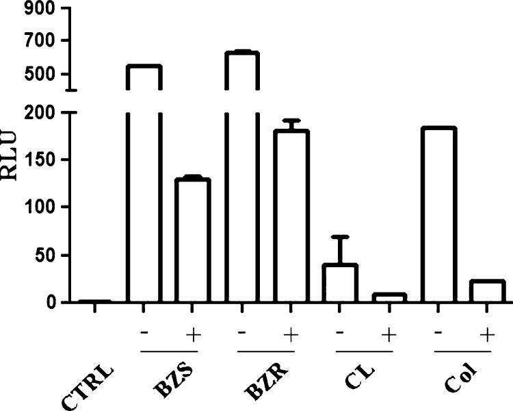 Figure 5.