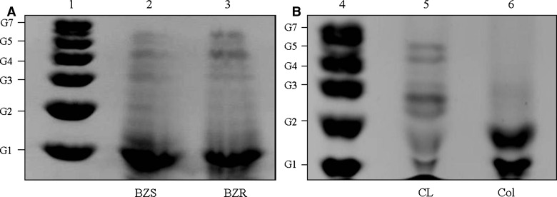 Figure 6.