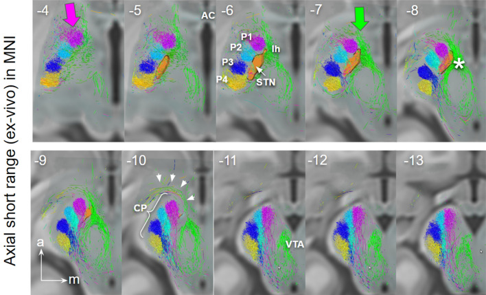 Fig. 4