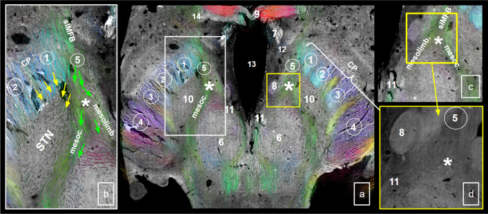 Fig. 9