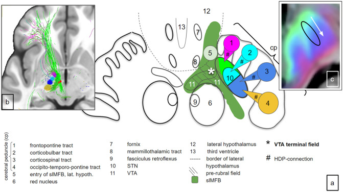 Fig. 10