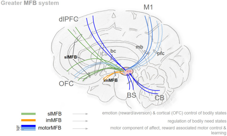 Fig. 13